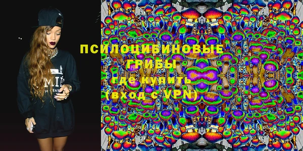 молекула духа Волоколамск