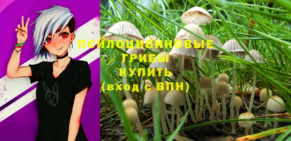 молекула духа Волоколамск
