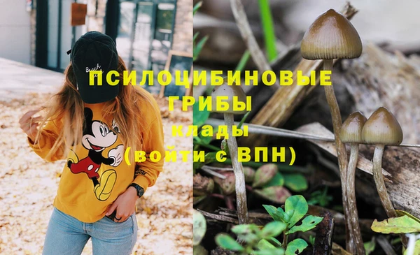 молекула духа Волоколамск